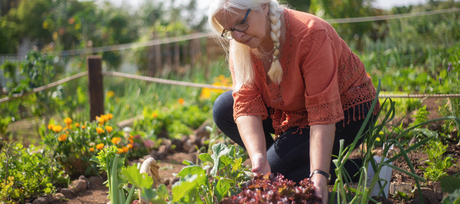 What is a Survival Garden?