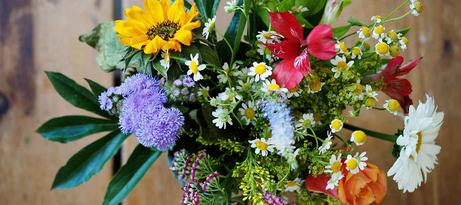 How to Grow Wildflower Bouquets and Boost Your Garden's Productivity