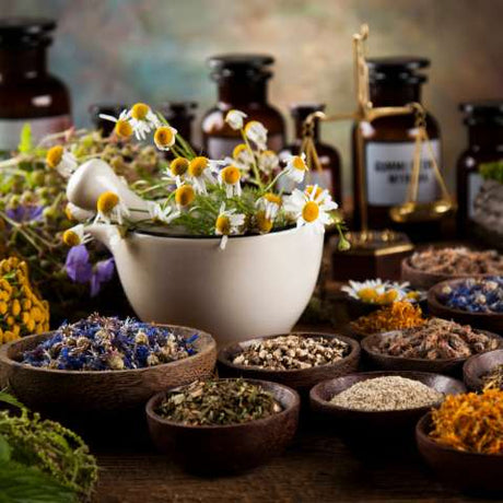 Medicinal Herb seeds