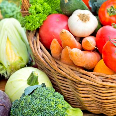 Vegetable Garden Seed Collections – SurvivalGardenSeeds