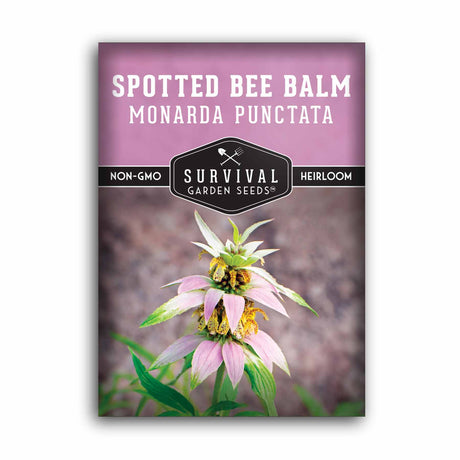 Spotted Bee Balm Seeds