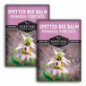 2 packets of Spotted Bee Balm Seeds