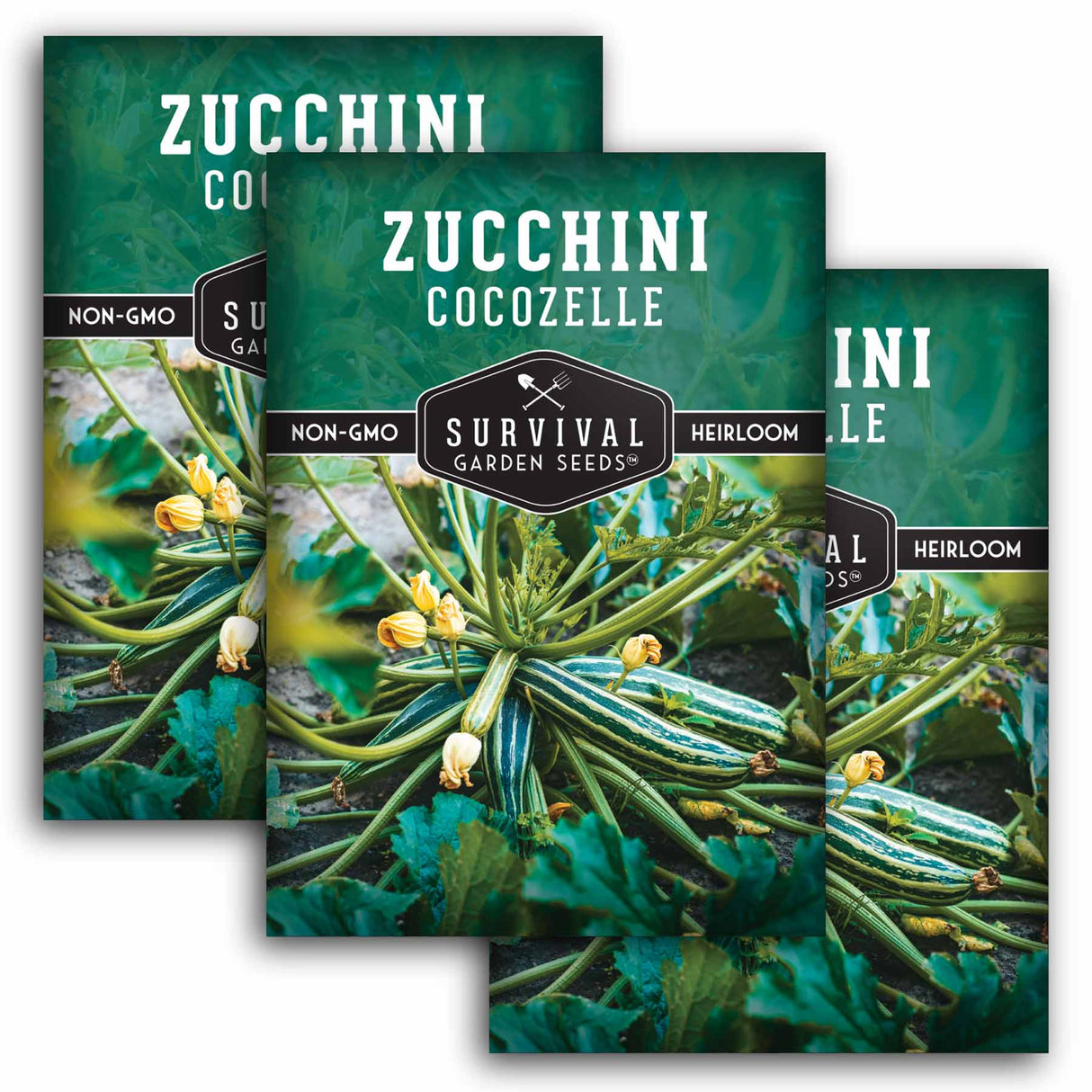 3 packets of Cocozelle Zucchini seeds