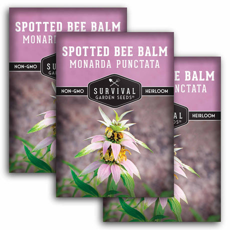 3 packets of Spotted Bee Balm Seeds