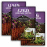 3 Packets of Alfalfa seeds