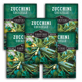 5 packets of Cocozelle Zucchini seeds