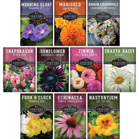 10 Flower Seed Collection