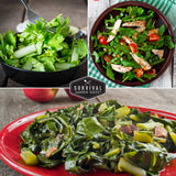 Three images of green salads with a 'Survival Garden Seeds' logo in the center.