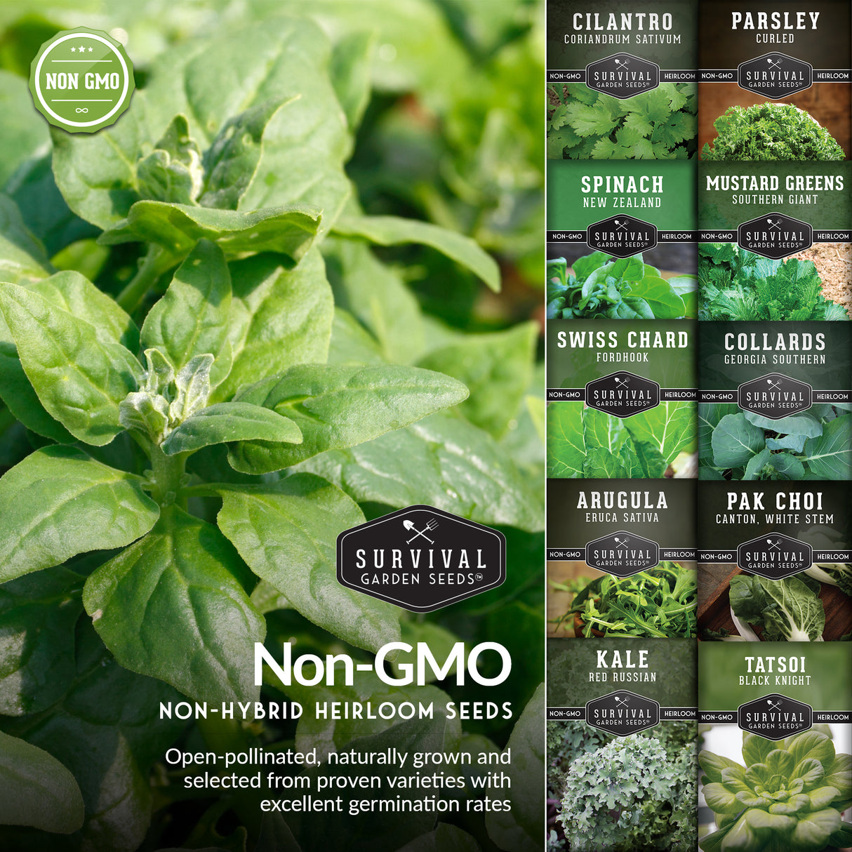 Survival Garden Seeds packaging with a variety of green leafy vegetables and branding.