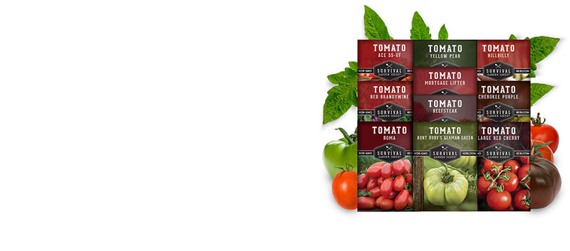 10 Tomato Kit - 10 varieties of heirloom tomato seeds