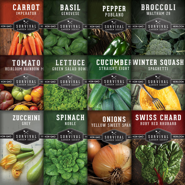 Grid of vegetable seed packets with images and names on a black background