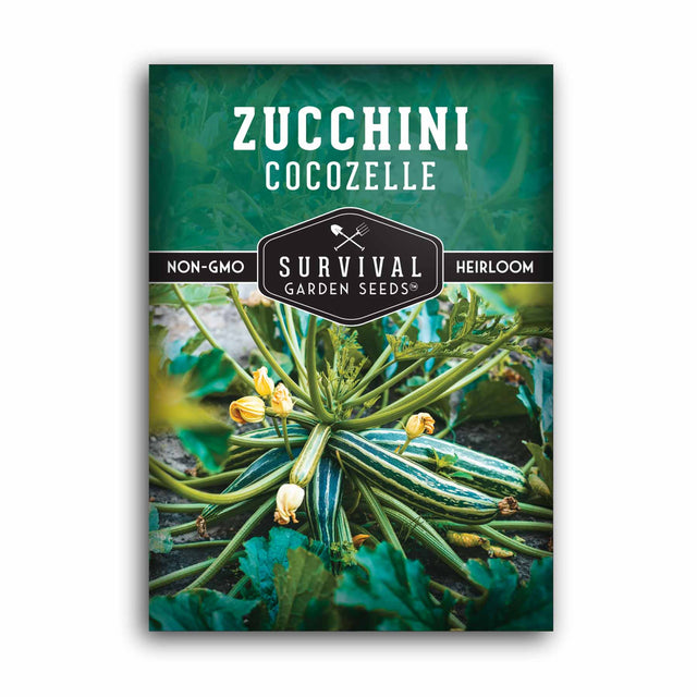 1 Packet of Cocozelle Zucchini seeds