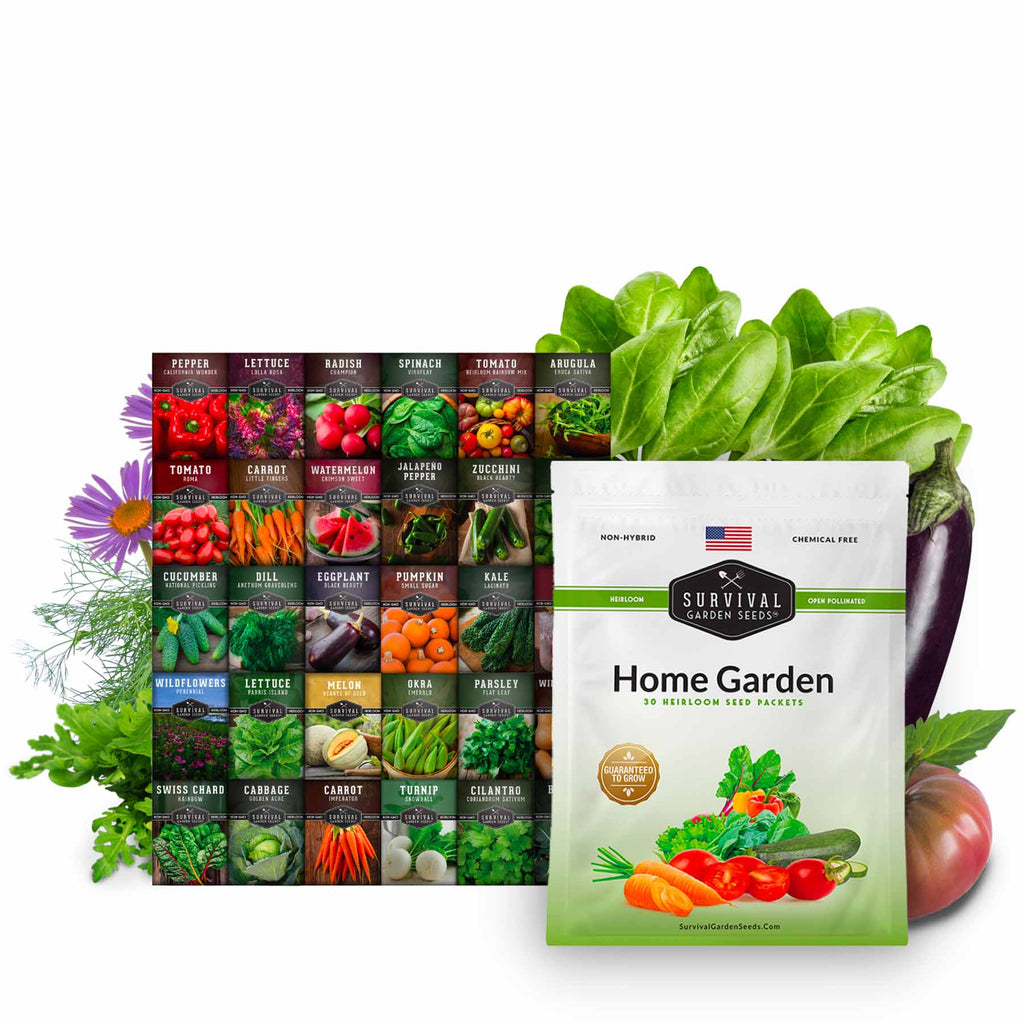 Home Garden Seed Collection - 30 Pack of Vegetables & Herb Seeds