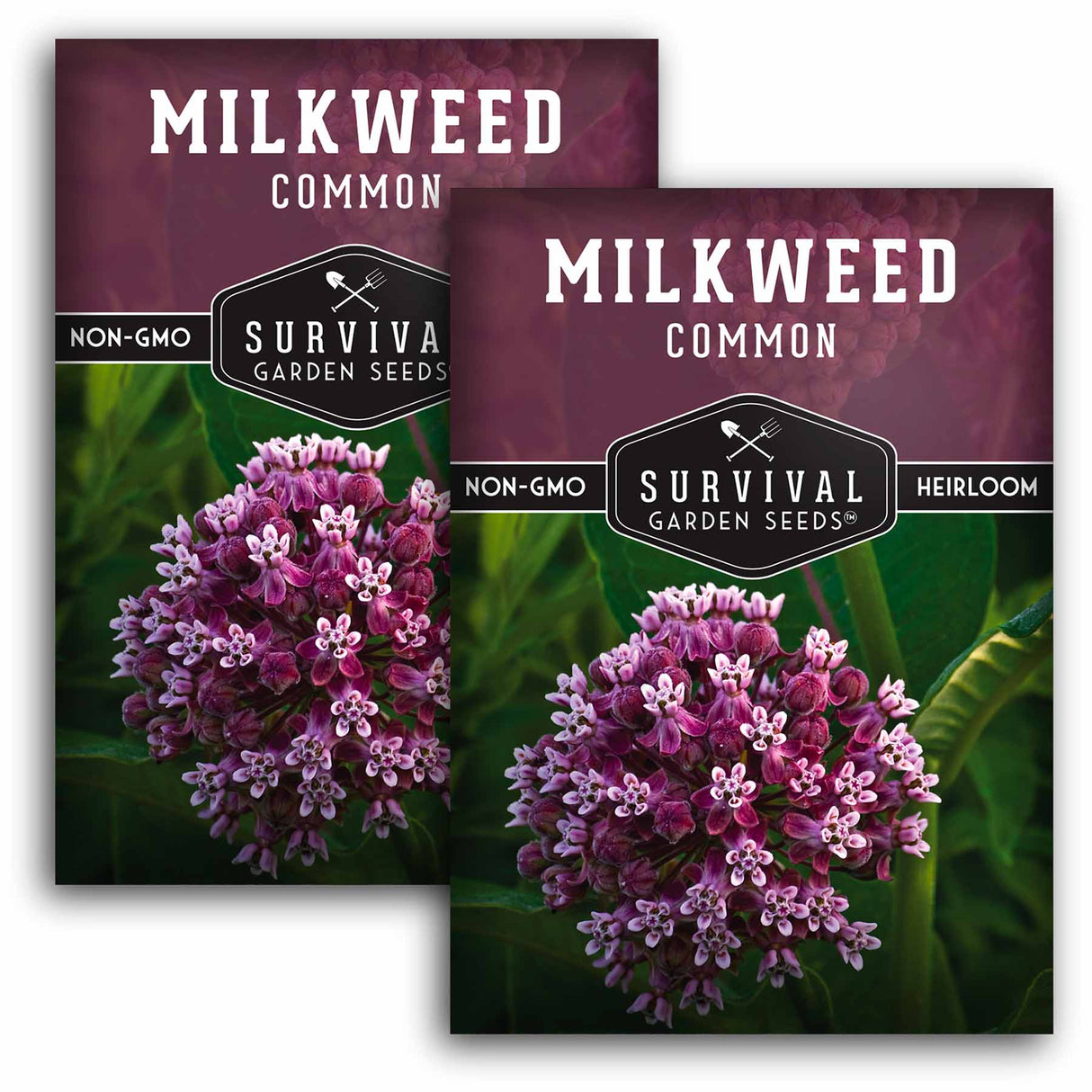 2 Packets of milkweed seeds