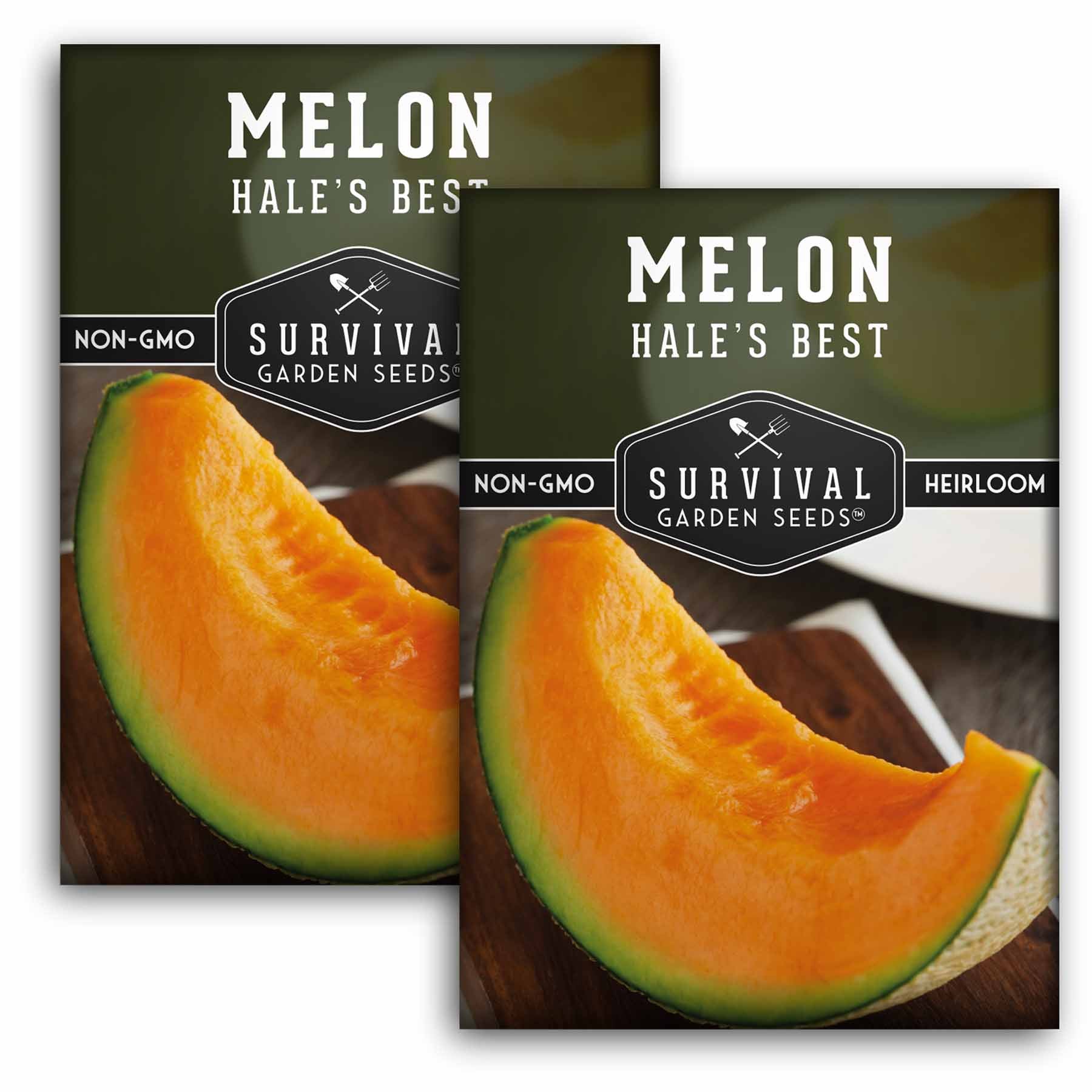 Hale's Best Melon Seeds – Sweet Heirloom – SurvivalGardenSeeds