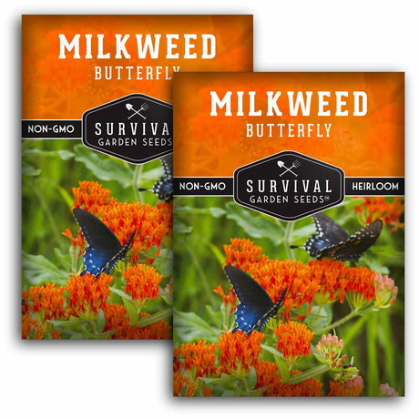 2 Packets of Butterfly Milkweed Seeds