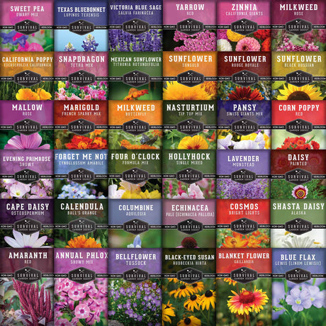 36 Packets of helpful flower seeds