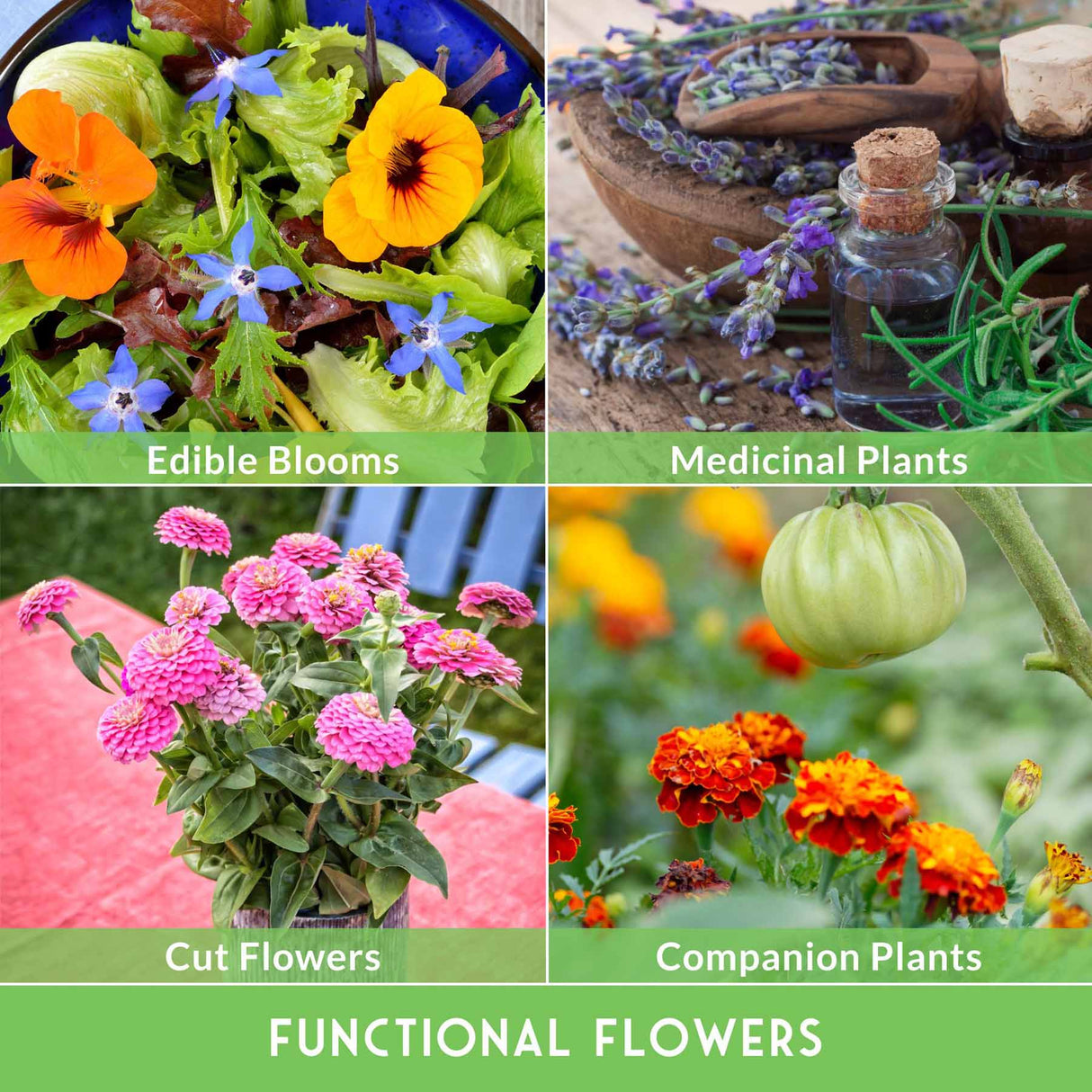 Collage of different types of flowers including edible blooms, medicinal plants, cut flowers, and companion plants.