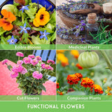 Collage of different types of flowers including edible blooms, medicinal plants, cut flowers, and companion plants.