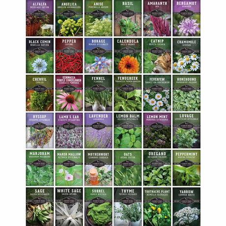 A grid of 30 seed packet covers for various herbs and flowers, arranged in a 5x6 layout on a white background. Each packet features a colorful photograph of the plant and its name printed below.
