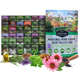 36 Medicinal Herbs collection with packets