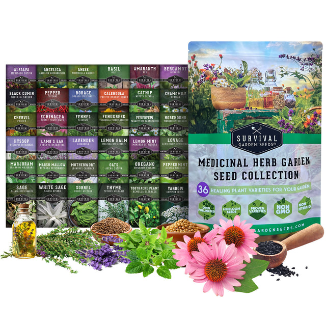 36 Medicinal Herbs collection with packets