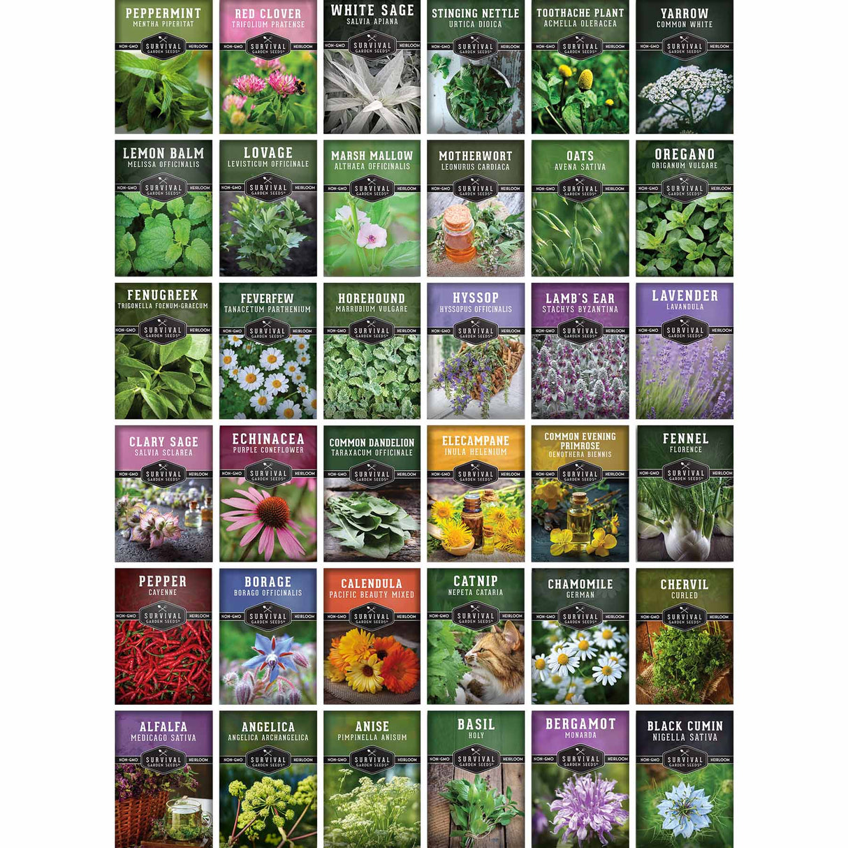 Ultimate Medicinal Herb Seed Collection - 36 Medicinal Herbs