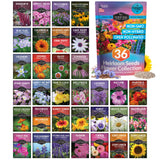 36 Functional Flower Seed Collection