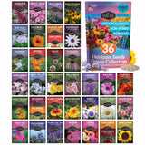 Collection of heirloom seeds packaging for flowers with a prominent '36 Heirloom Seeds Flower Collection' package.