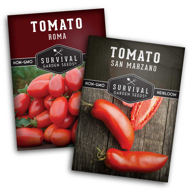 Paste tomato seed collection