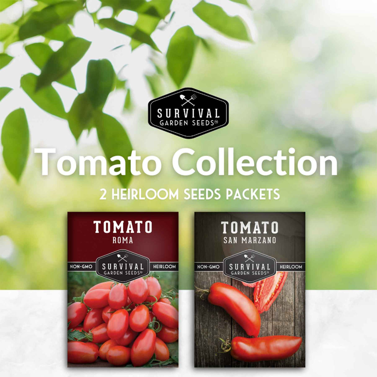 Paste tomato seed collection 2 packets