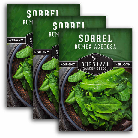 3 packets of Sorrel seeds