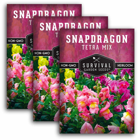 3 Packets of Tetra Mix Snapdragon seeds