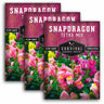 3 Packets of Tetra Mix Snapdragon seeds