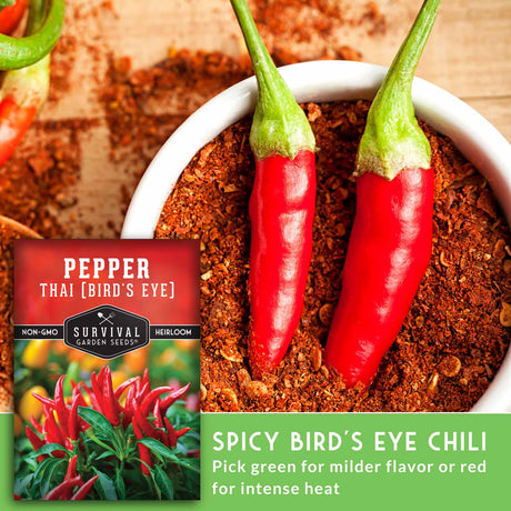 Spicy Birds Eye Chili