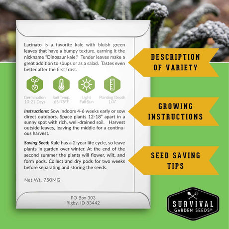 Kale Growing Instructions