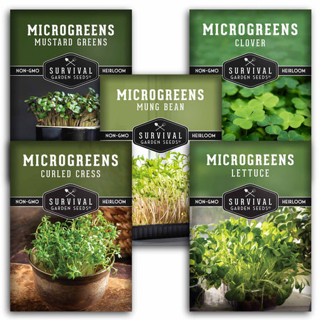 Mustard, Clover, Mung Bean, Cress & Lettuce Microgreens packets