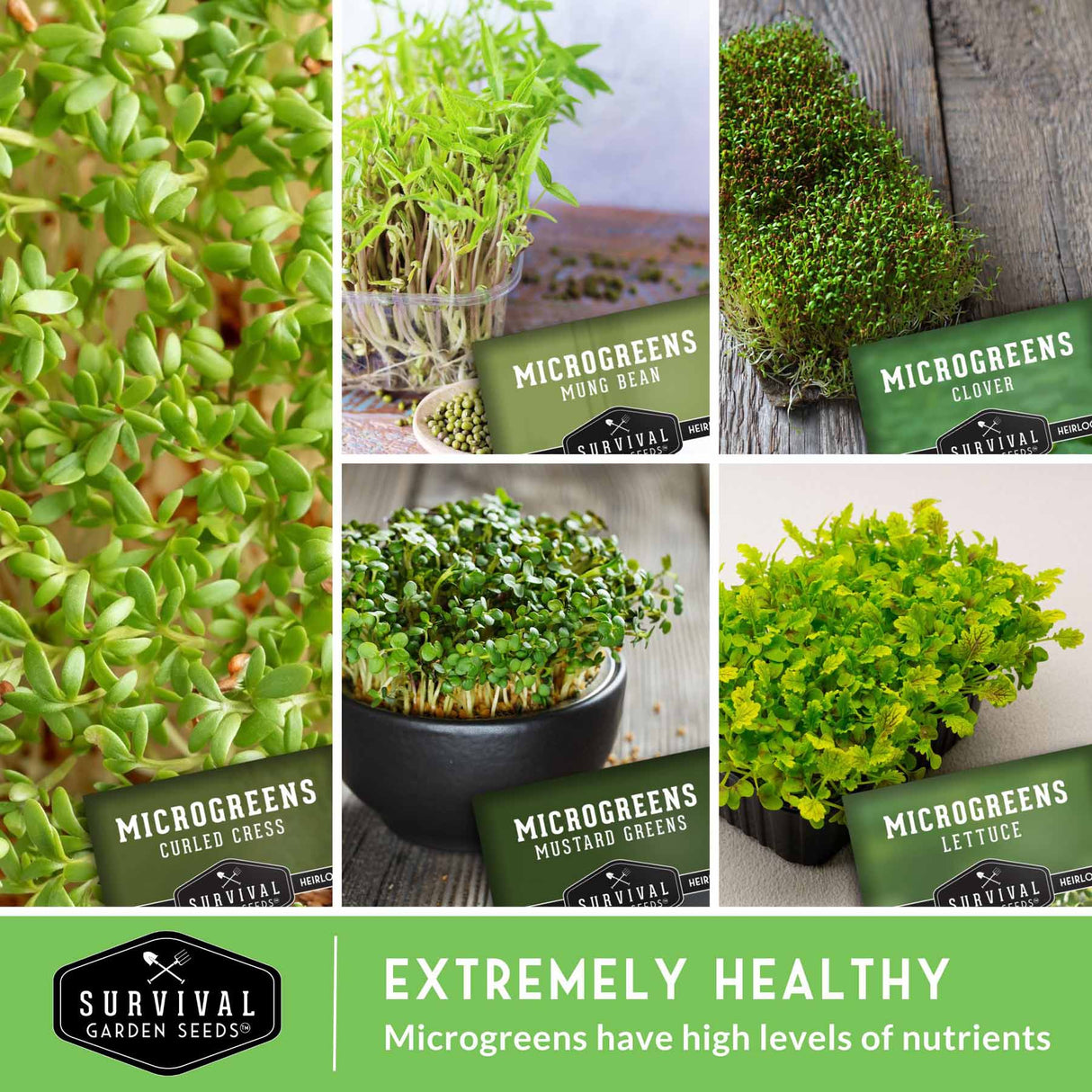 Extremely Healthy - Microgreens have high levels of nutrients