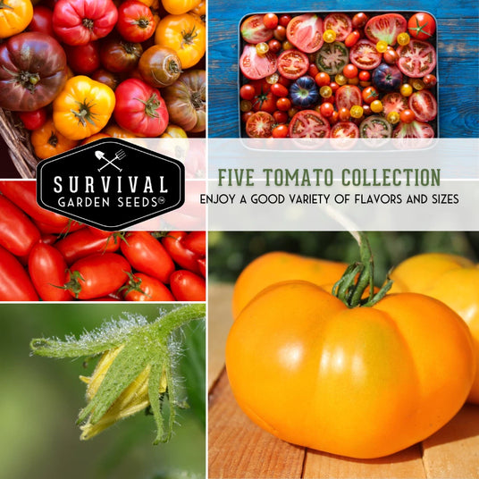 5 Tomato Collection - enjoy a variety of colors and sizes