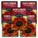 5 Packets of Autumn Beauty Sunflower seeds