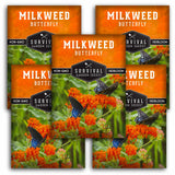 5 Packets of Butterfly Milkweed Seeds