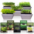 5 Packs of Microgreens seeds
