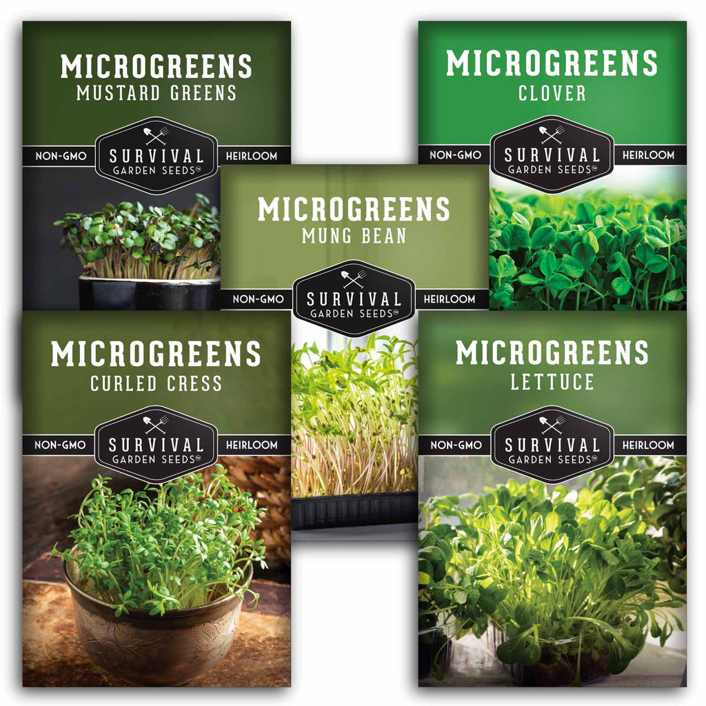 5 Microgreens collection