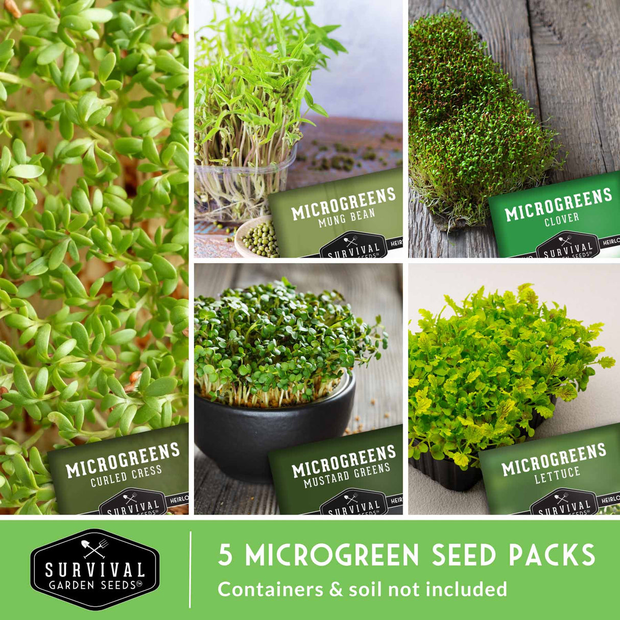 5 Microgreen Seed Packs