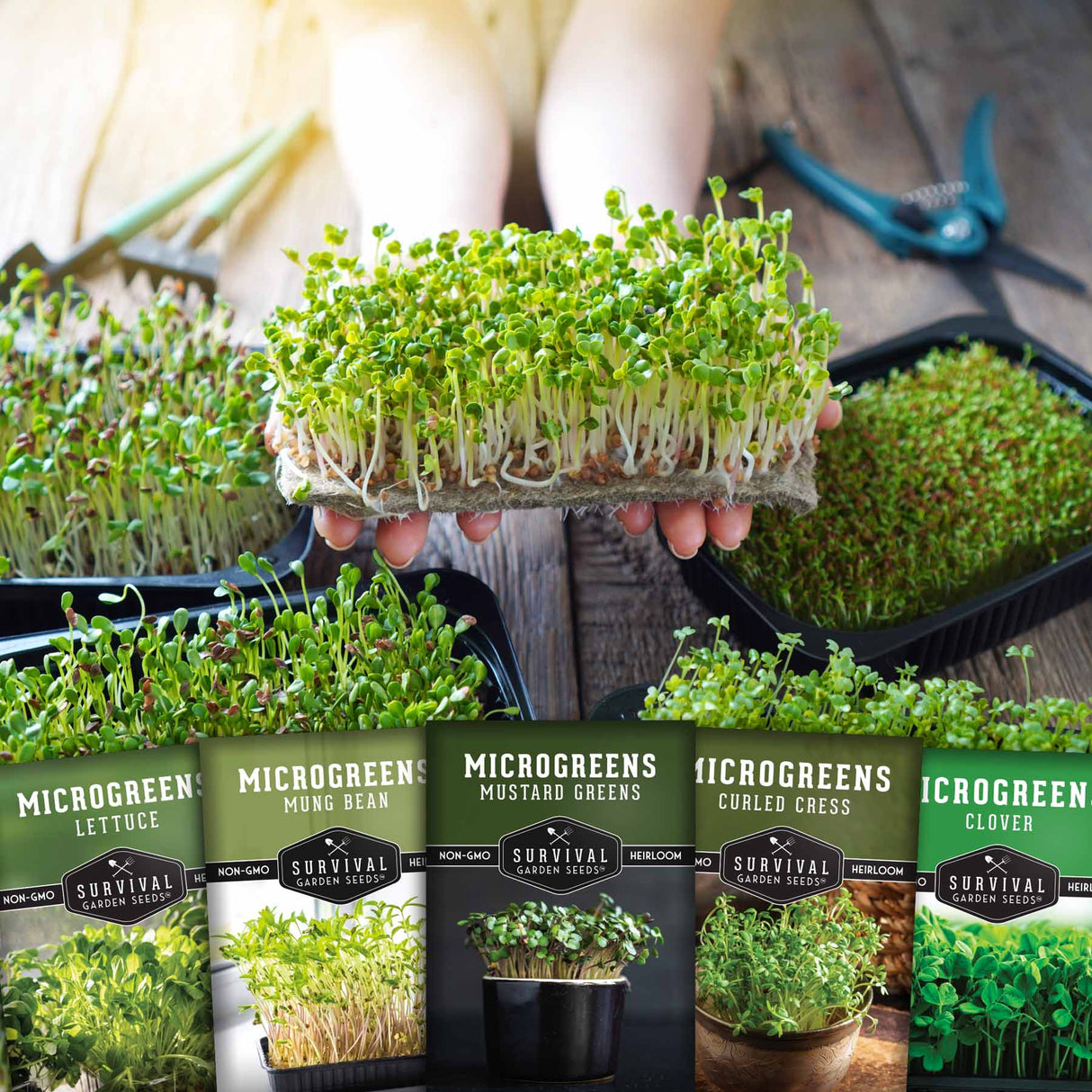 Microgreens