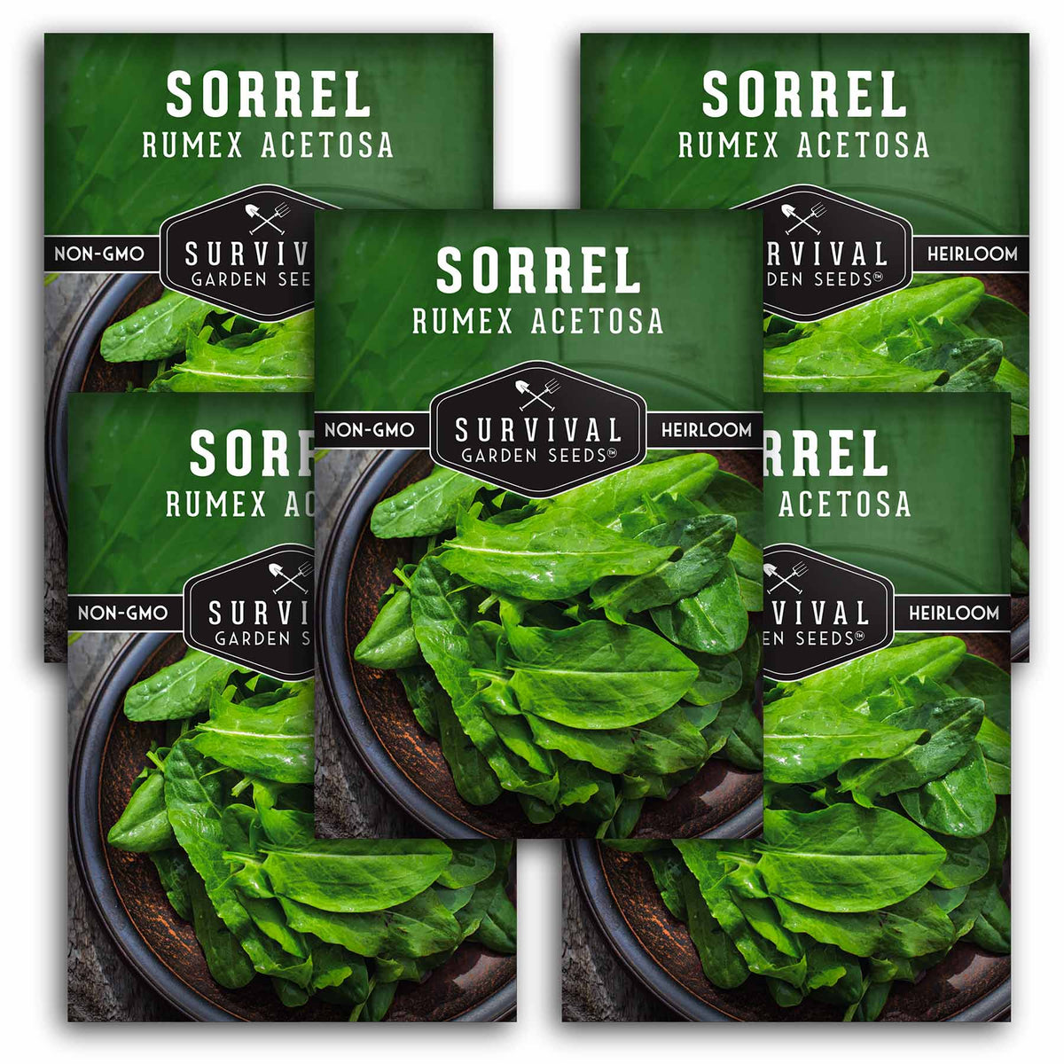 5 packets of Sorrel seeds