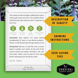 Seed packet for Red Russian kale with growing instructions and seed saving tips on a green background.