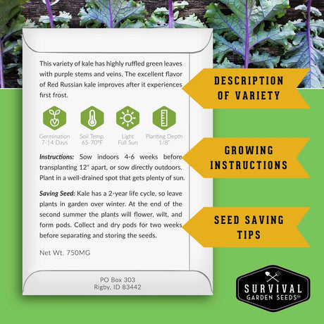 Seed packet for Red Russian kale with growing instructions and seed saving tips on a green background.