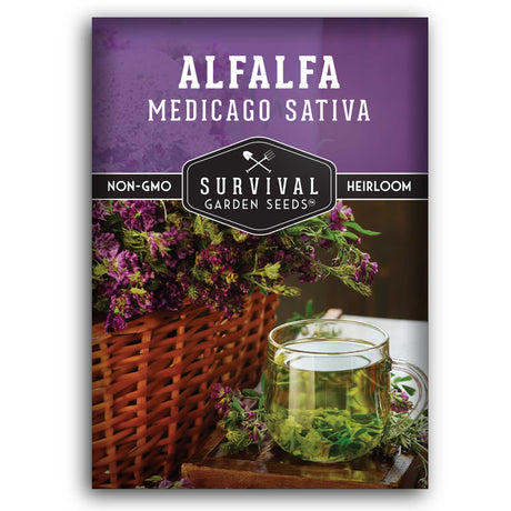 1 packet of Alfalfa - Medicago Sativa seeds