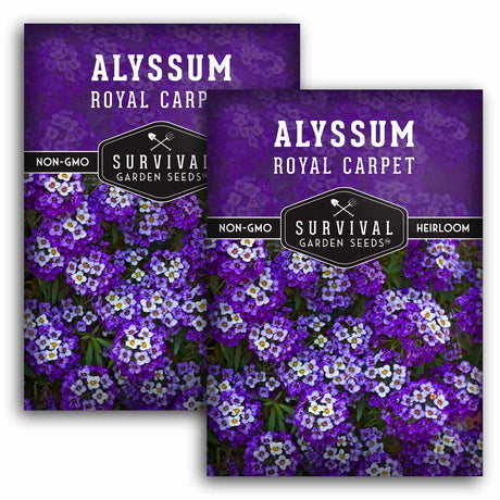 2 packets of Royal Carpet Alyssum seeds